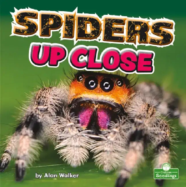 Spiders Up Close by Alan Walker