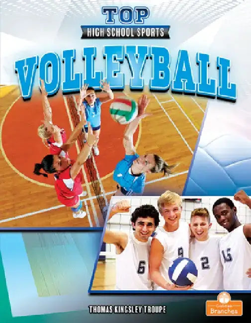 Volleyball by Thomas Kingsley Troupe