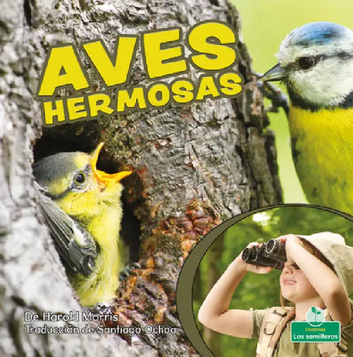 Aves Hermosas (Beautiful Birds) by Harold Morris