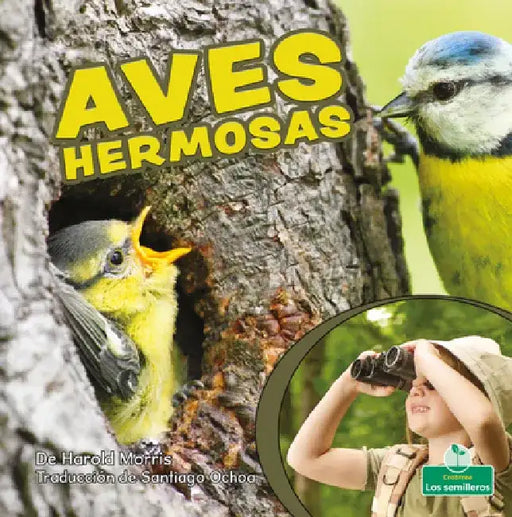 Aves Hermosas (Beautiful Birds) by Harold Morris