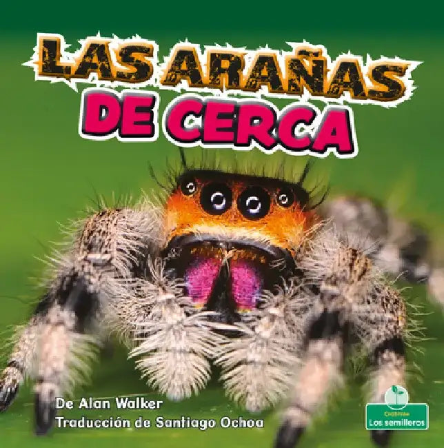 Las Arañas de Cerca (Spiders Up Close) by Alan Walker