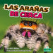 Las Arañas de Cerca (Spiders Up Close) by Alan Walker
