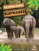 Elephants by Amy Culliford