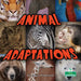 Animal Adaptations by Patricia Armentrout