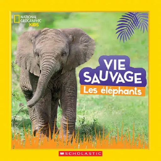 National Geographic Kids: Vie Sauvage: Les Éléphants by Margie Markarian