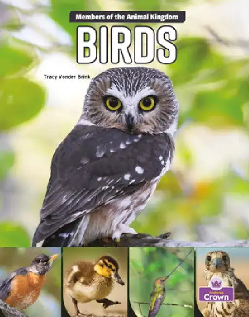 Birds by Tracy Vonder Brink