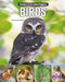 Birds by Tracy Vonder Brink