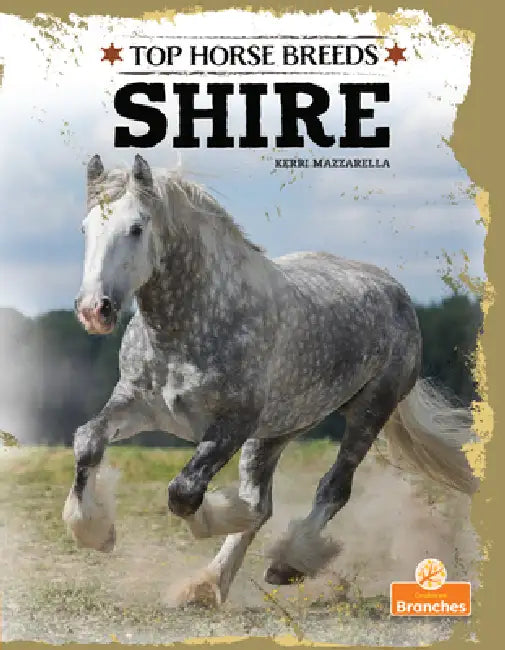 Shire by Kerri Mazzarella