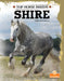 Shire by Kerri Mazzarella