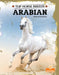 Arabian by Kerri Mazzarella
