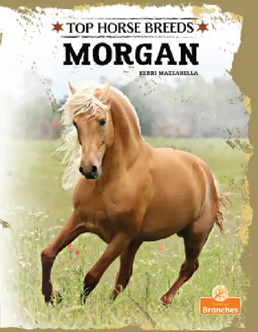 Morgan by Kerri Mazzarella