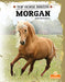 Morgan by Kerri Mazzarella