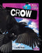 Crow by Ellen Roger