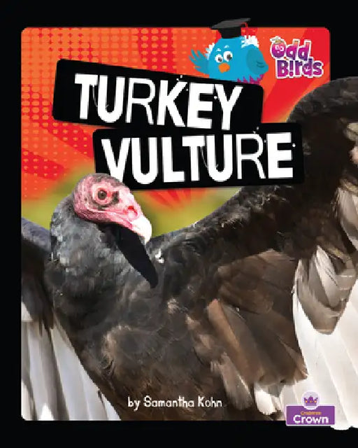 Turkey Vulture by Samantha Kohn