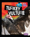 Turkey Vulture by Samantha Kohn