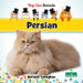 Persian by Bernard Conaghan