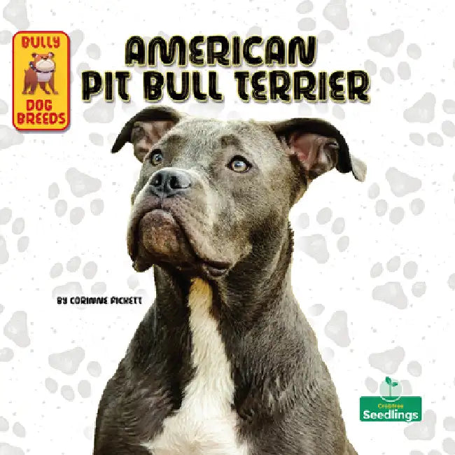 American Pit Bull Terrier by Corinne Fickett