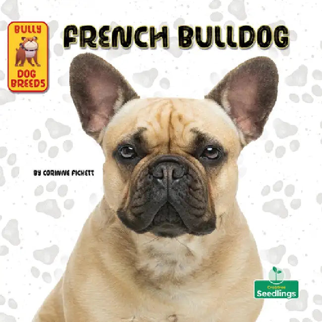 French Bulldog by Corinne Fickett