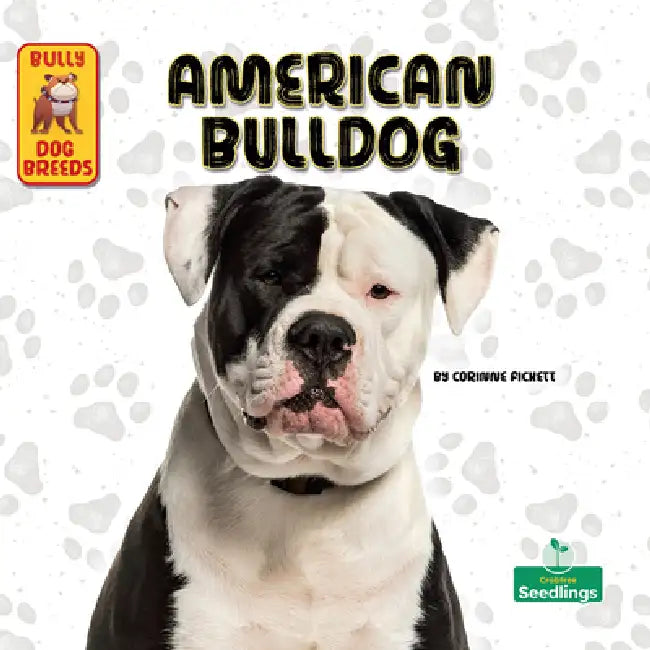 American Bulldog by Corinne Fickett