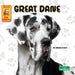 Great Dane by Corinne Fickett