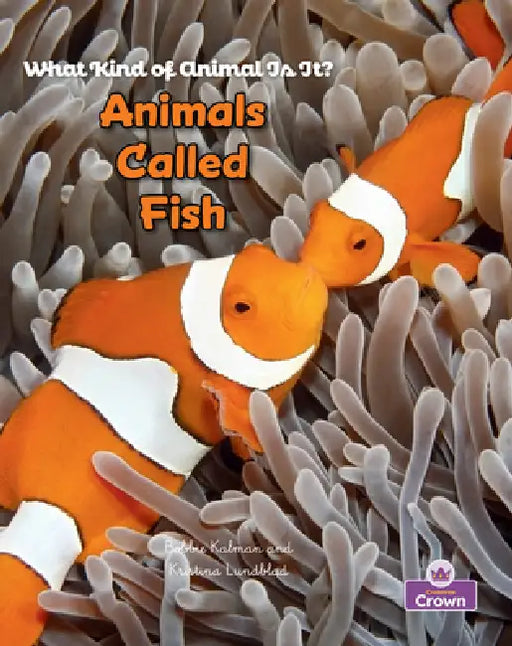 Animals Called Fish by Bobbie Kalman, Kristina Lundblad