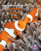 Animals Called Fish by Bobbie Kalman, Kristina Lundblad