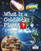 What Is a Goldilocks Planet? by Rachel Stuckey