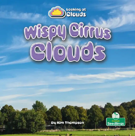 Wispy Cirrus Clouds by Kim Thompson
