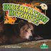 Hibernation Hotshots! by Brink, Tracy Vonder