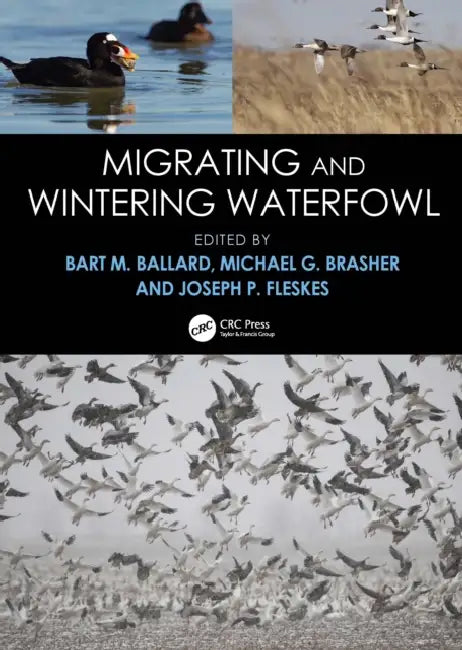 Migrating and Wintering Waterfowl by Bart M. Ballard