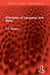 Principles of Language and Mind by T. P. Waldron
