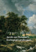 Jacob Van Ruisdael's Ecological Landscapes by Catherine Levesque