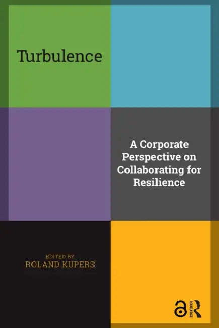 Turbulence: A Corporate Perspective on Collaborating for Resilience by Kupers Roland