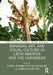 Bananas, Art, and Visual Culture in Latin America and the Caribbean by Blanca Serrano Ortiz de Solórzano