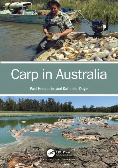 Carp in Australia by Paul Humphries