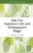 Pale Fire, Nabokov's Art and Shakespeare's Magic by Gerard De Vries