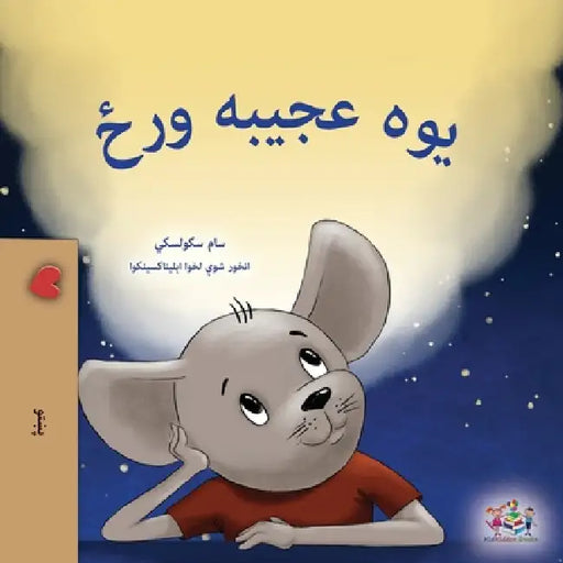 A Wonderful Day (Pashto Children's Book) by Sam Sagolski, Kidkiddos Books