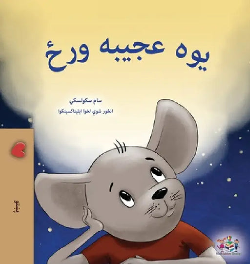 A Wonderful Day (Pashto Children's Book) by Sam Sagolski, Kidkiddos Books