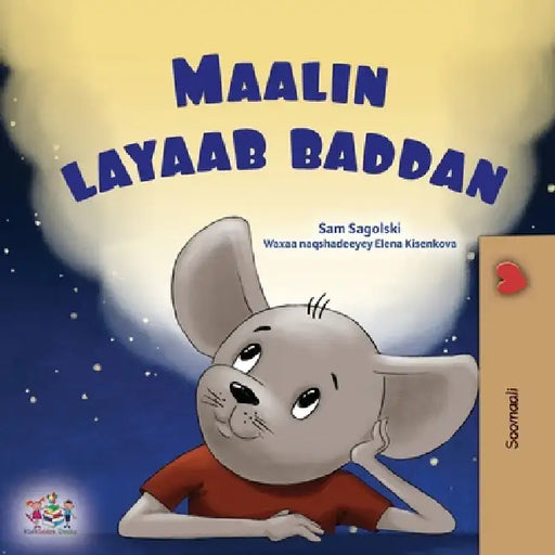 A Wonderful Day (Somali Children's Book) by Sam Sagolski, Kidkiddos Books