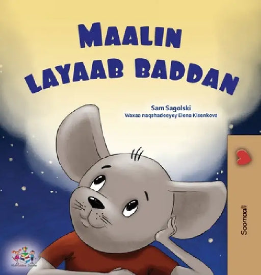 A Wonderful Day (Somali Children's Book) by Sam Sagolski, Kidkiddos Books