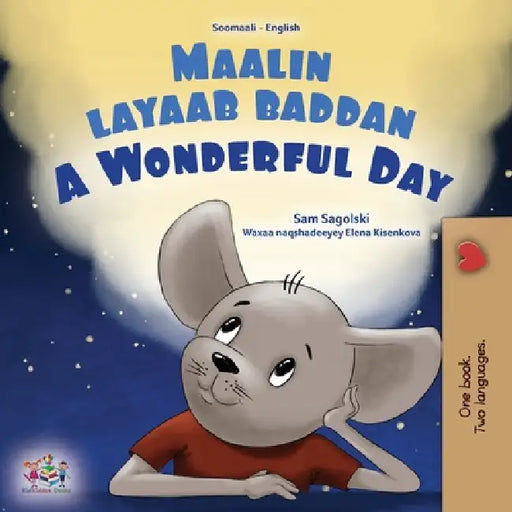 A Wonderful Day (Somali English Bilingual Children's Book) by Sam Sagolski, Kidkiddos Books