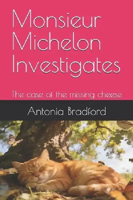 Monsieur Michelon Investigates: The case of the missing cheese by Antonia Bradford
