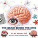 The Brain Behind the Eyes: How Your Brain Helps You See And Understand The World by Rafaela Thé