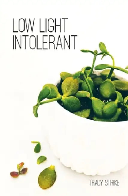 Low Light Intolerant by Tracy Strike