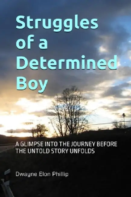 Struggles of a Determined Boy by Dwayne Elon Phillip