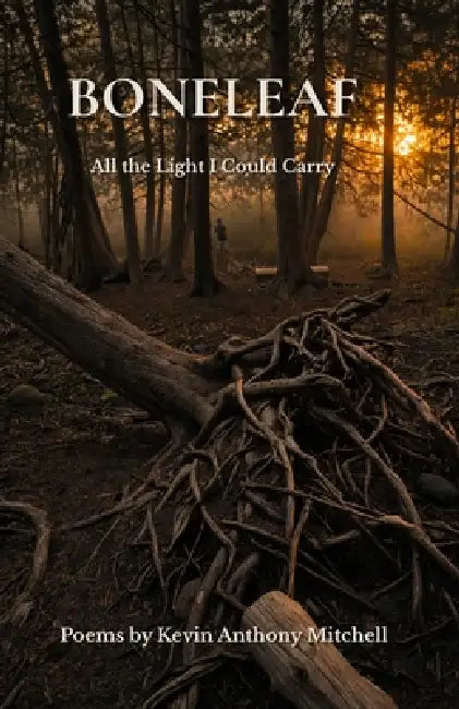 Boneleaf: All the Light I Could Carry by Kevin Anthony Mitchell