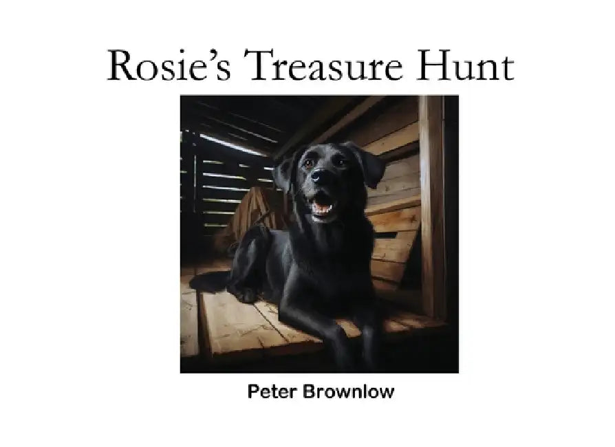 Rosie's Treasure Hunt by Peter Brownlow