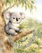 The Not So Kool Koala by Derryn Cameron