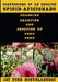 Confessions of an English Opioid-Aficionado: Shagging Shanting & Shooting Up Thru Peru by Jay Forr Northlandbay