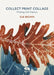 Collect Print Collage: Printing with Nature by Sue Brown